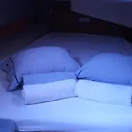 Lady Butterfly Tučepi